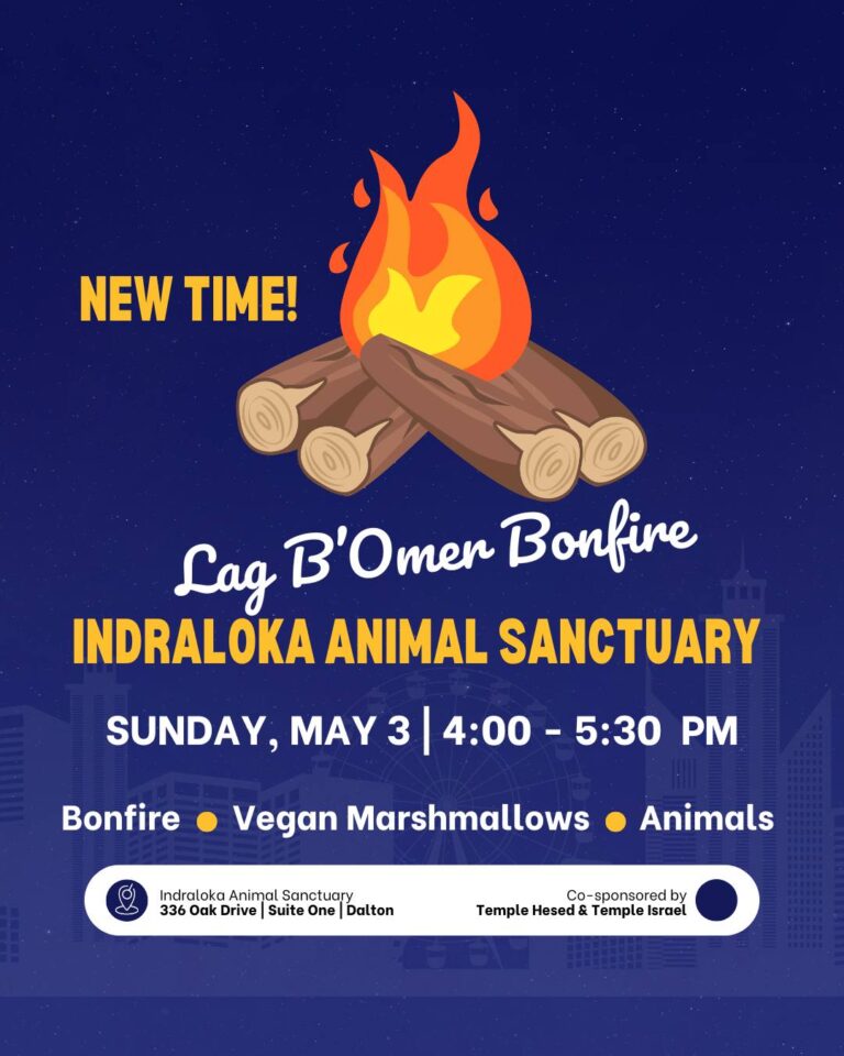 Lag B’omer Bonfire